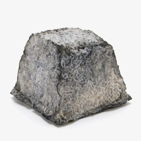 Photographie historique du fromage Valençay fermier